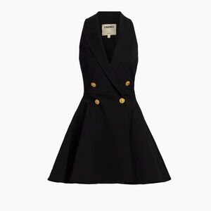 L'Agence Women's Black Royalty Fit & Flare Mini Dress